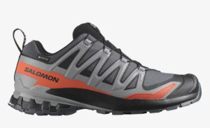 Кроссовки XA PRO 3D V9 GTX Salomon, цвет Turbulence/Black