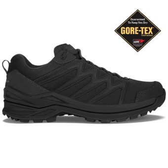 Ботинки LOWA INNOX PRO GTX LO TF Black